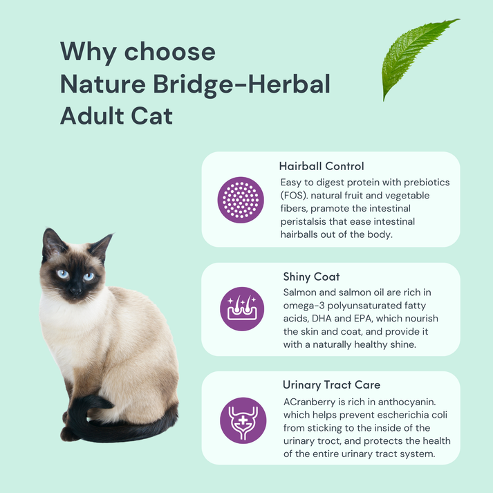 NatureBridge Herbal Complete Food for Kitten