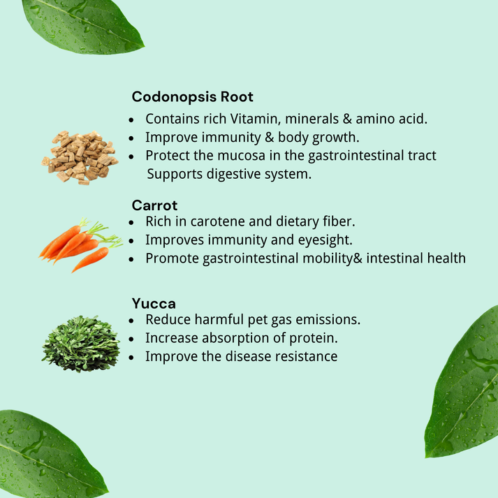 NatureBridge Herbal Complete Food for Kitten